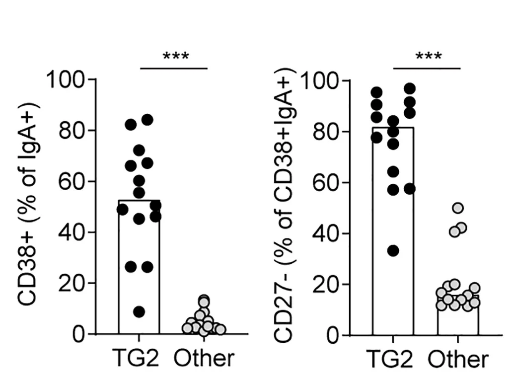 Open access visualization of Bar Plot, Scatter Plot, CD38, CD27, IgA+B Cells