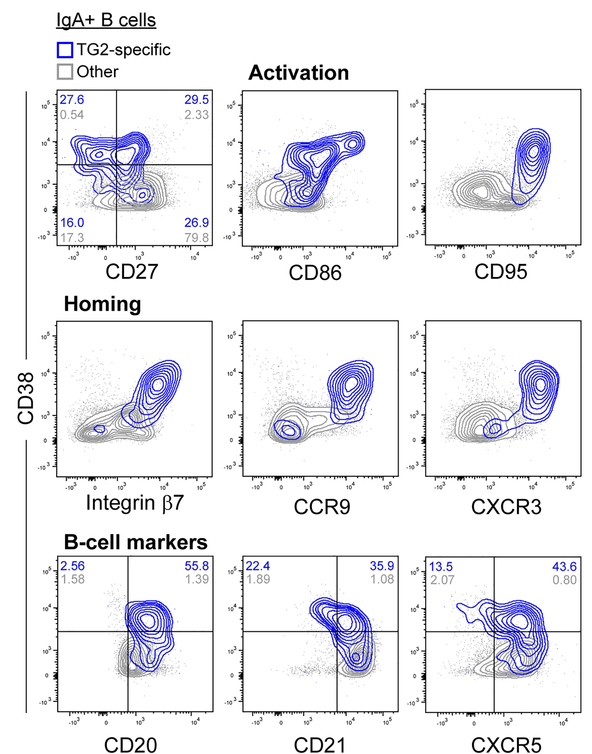 Open access visualization of Scatter Plot, Density Plot, Flow Cytometry, IgA+B Cells, CD38