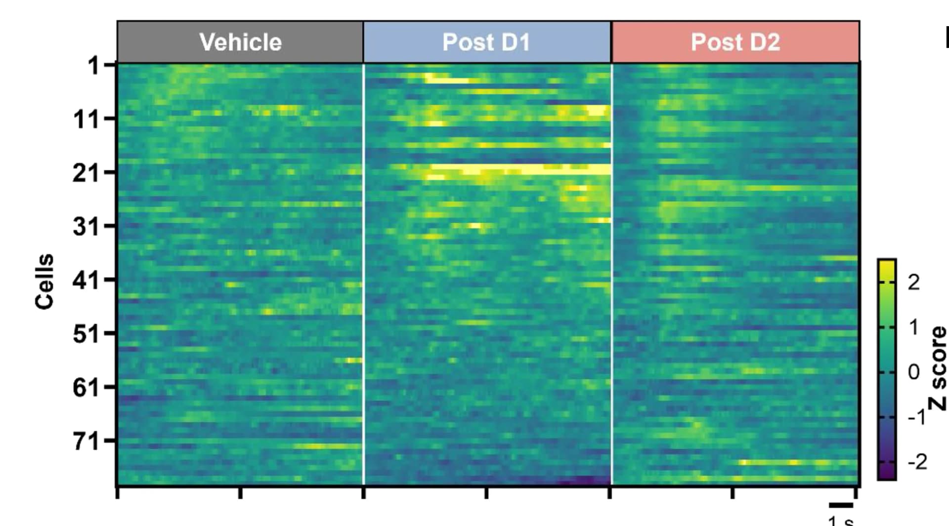 Open access visualization of Heatmap, Calcaneurons, VF Filament, NTG Injection, Responsive Neurons