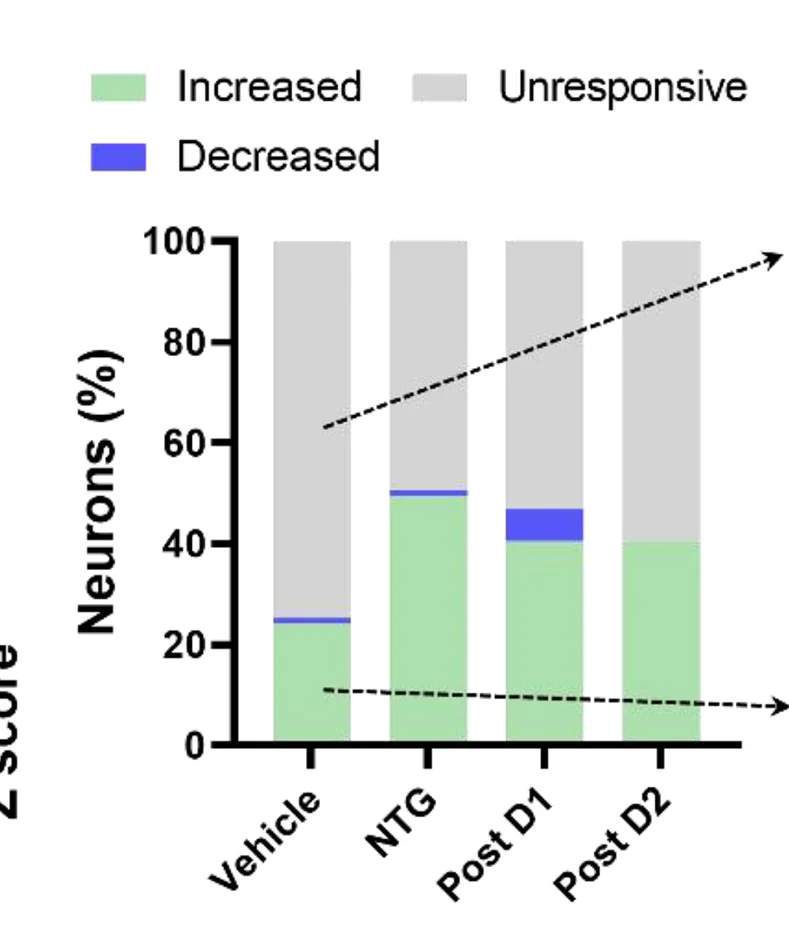 Open access visualization of Stacked Bar Plot, Calcaneurons, VF Filament, NTG Injection, Responsive Neurons
