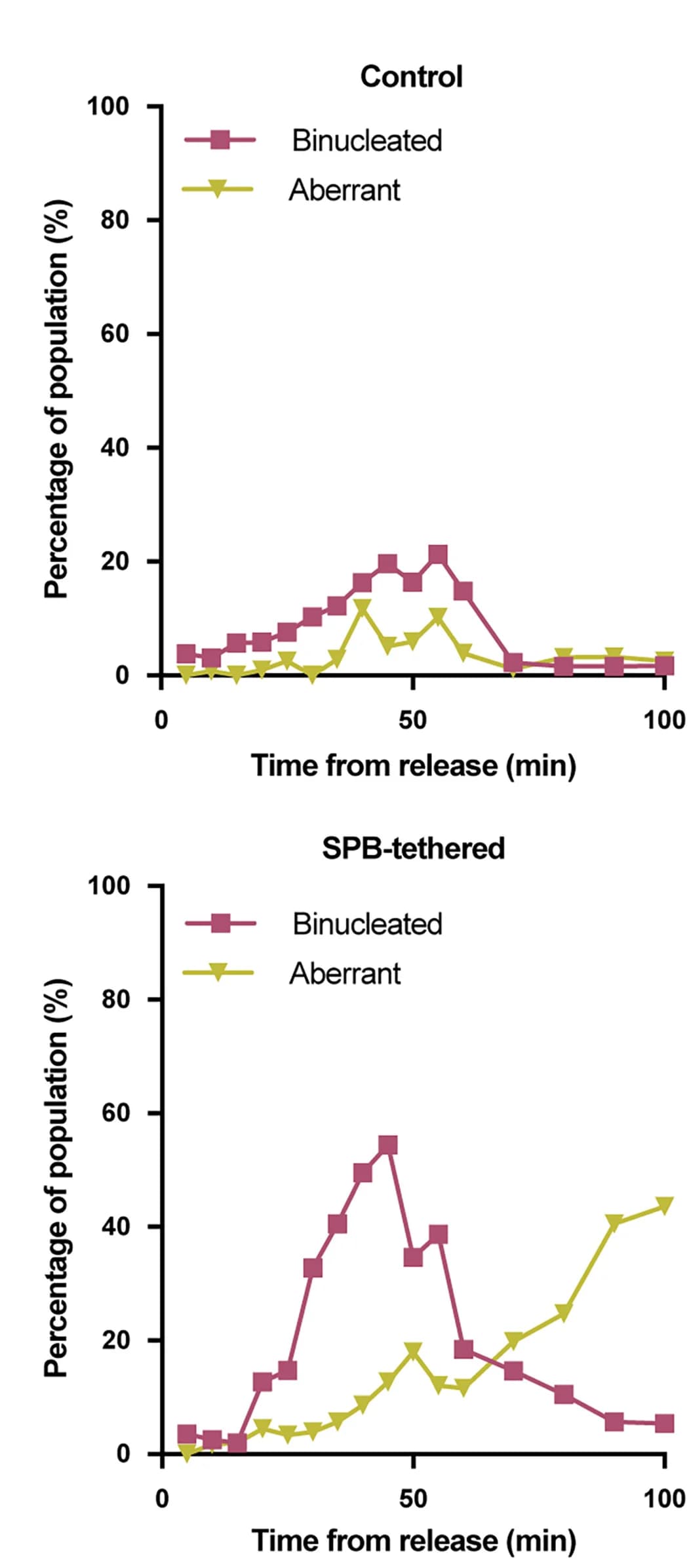 Open access visualization of Line Plot, Cells, Heat-Fixed, 1-NmPP1, DAPI