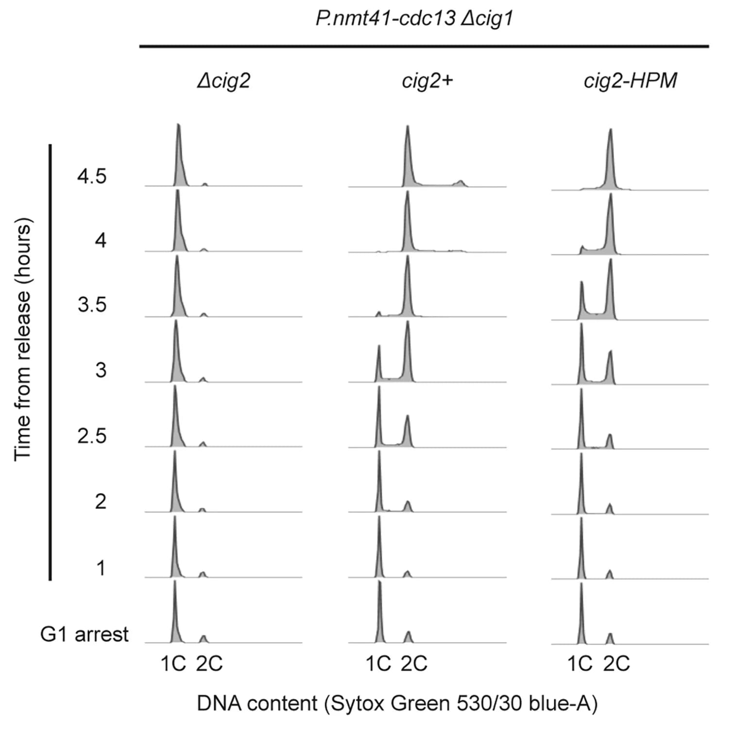 Open access visualization of Density Plot, Line Plot, Cells, DNA Content, G1 Arrest
