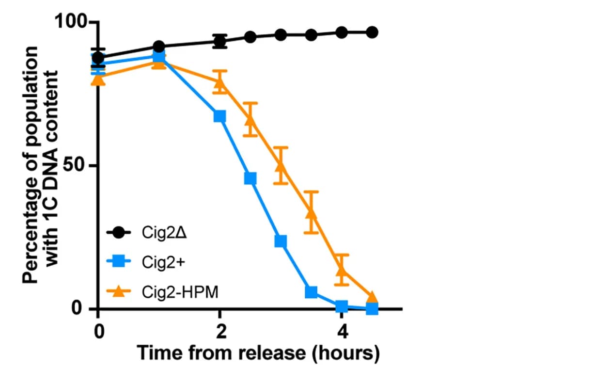 Open access visualization of Line Plot, Error Bars, Cells, DNA Content, Replicates