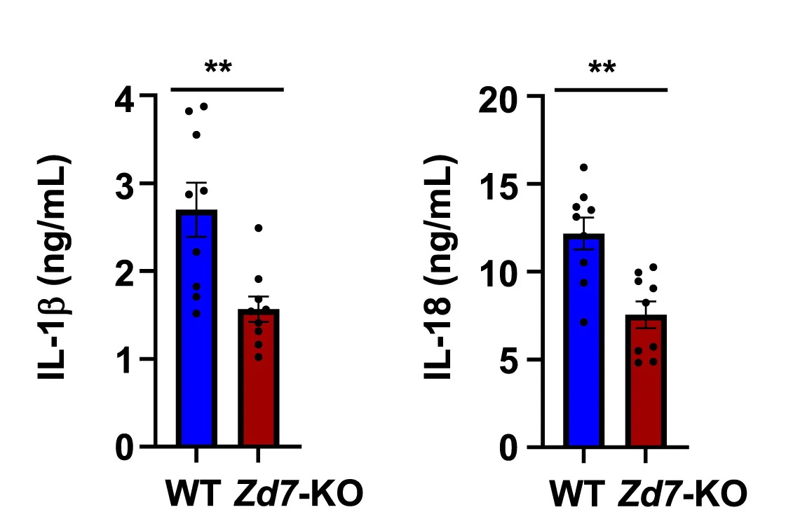 Open access visualization of Bar Plot, Error Bars, Clustered, Mouse Serum, IL-1β