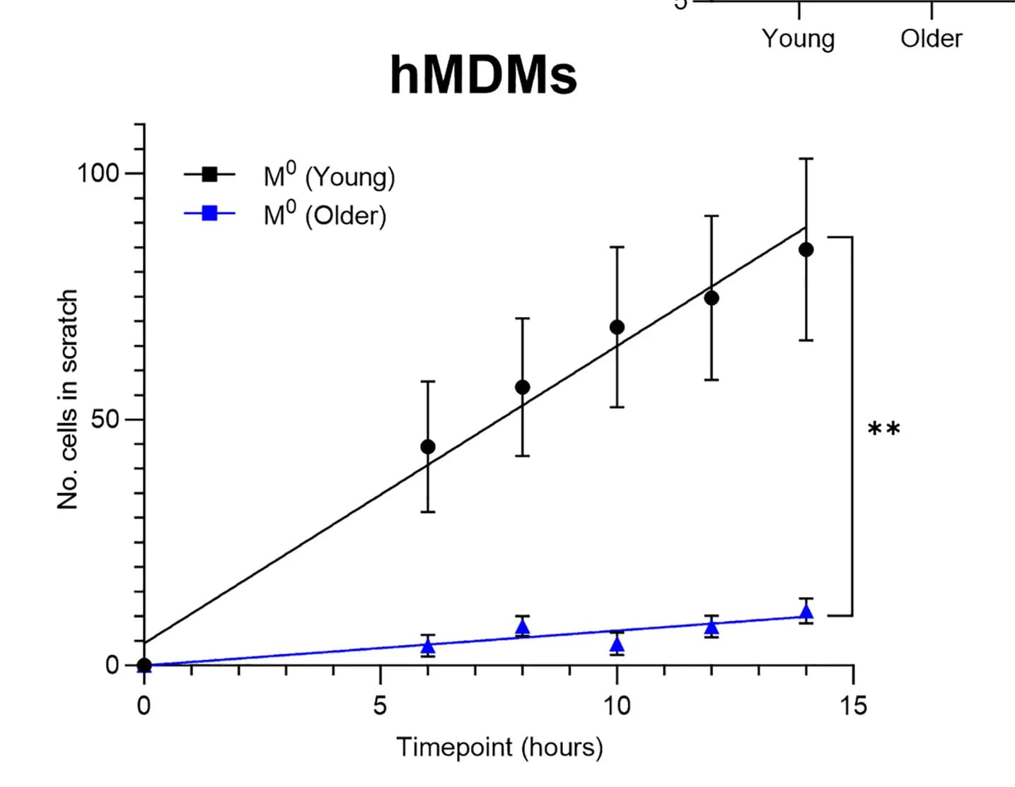 Open access visualization of Line Plot, Error Bars, Scatter Plot, MDM, Scratch Assay
