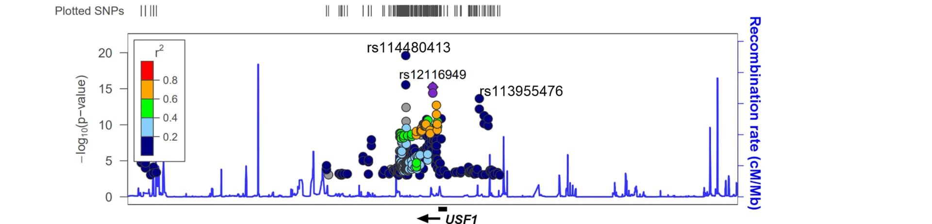 Open access visualization of Scatter Plot, Line Plot, Locuszoom Plot, Manhattan Plot, eQTLs