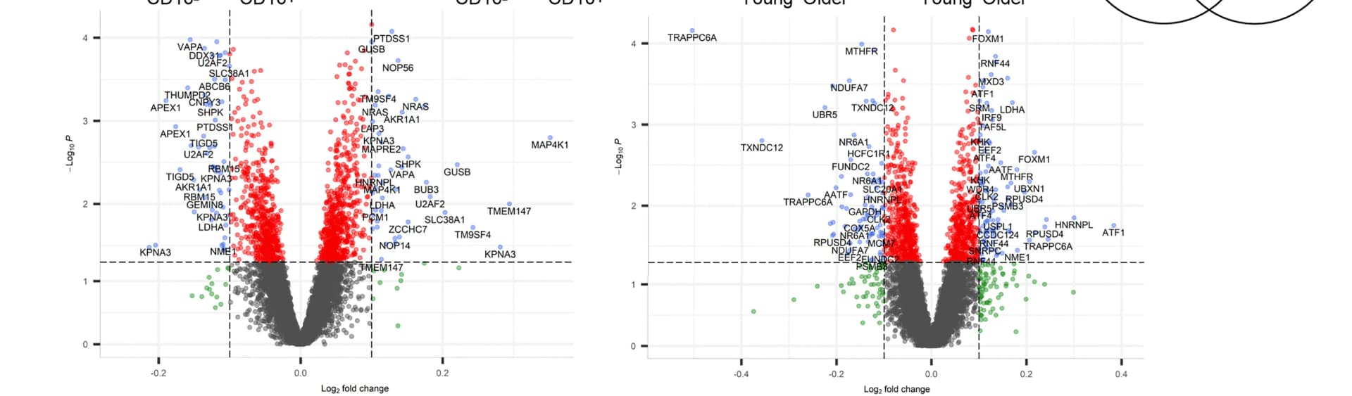 Open access visualization of Volcano Plot, Venn Diagram, Volcano Plots, MYC, USF1