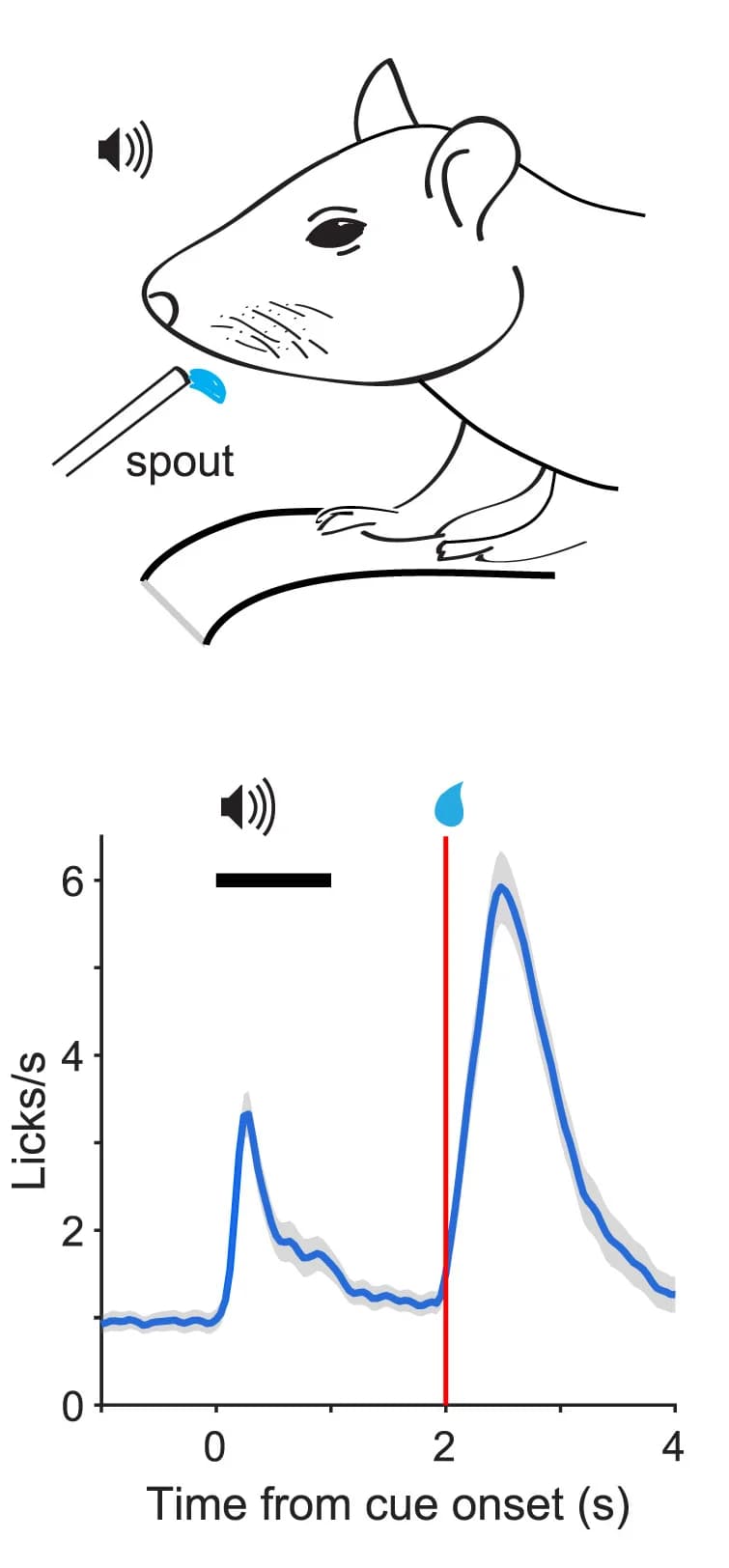 Open access visualization of Line Plot, Error Bars, Head-Fixed Mice, Treadmill, Auditory Tone