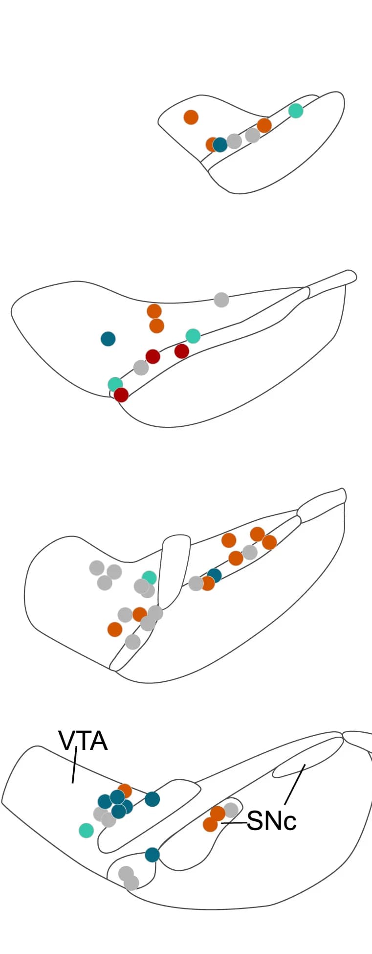 Open access visualization of Scatter Plot, Dopamine Neuron, Midbrain, Reward, Cue