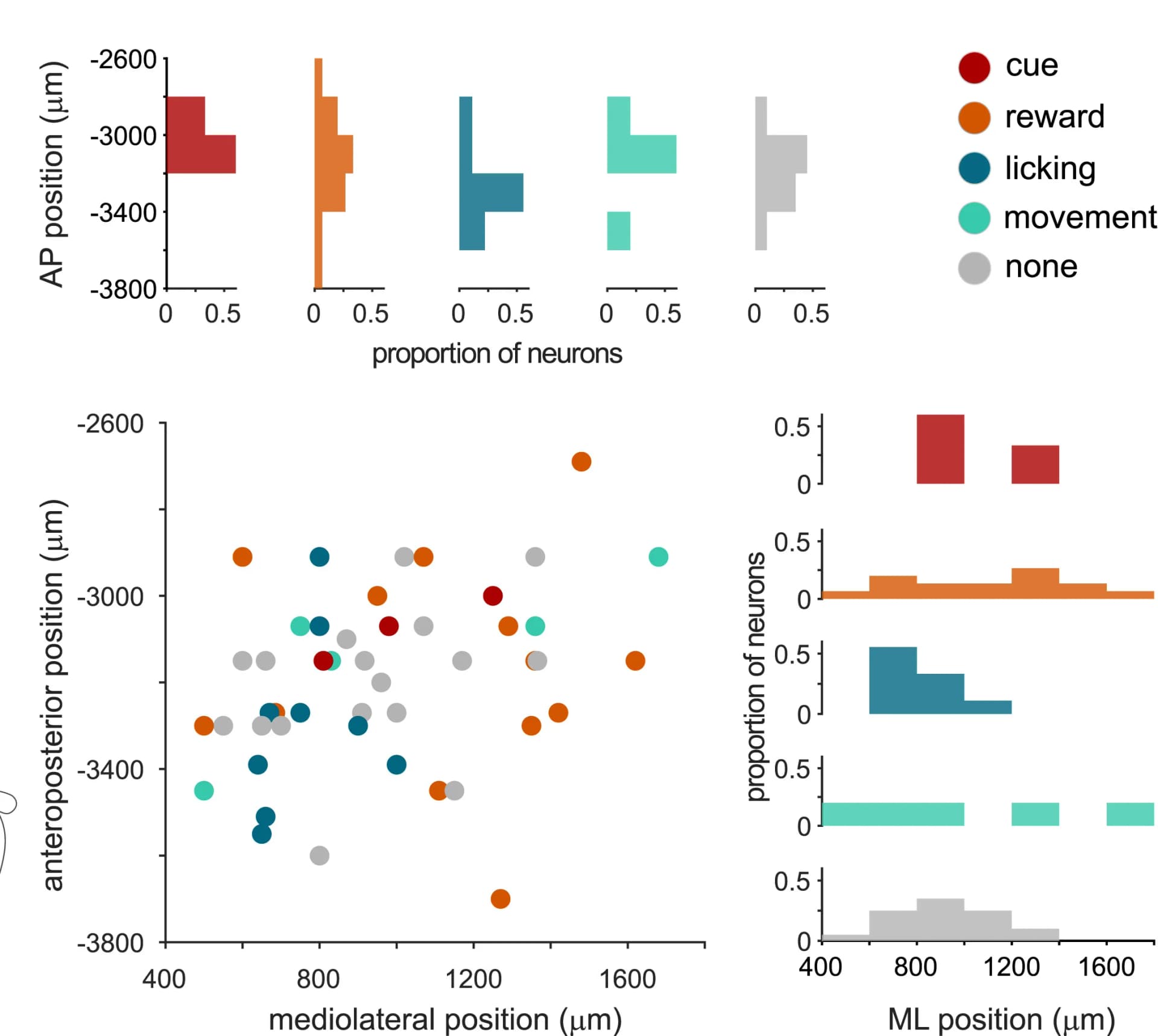 Open access visualization of Scatter Plot, Histogram, Dopamine Neuron, Anteroposterior Position, Mediolateral Position