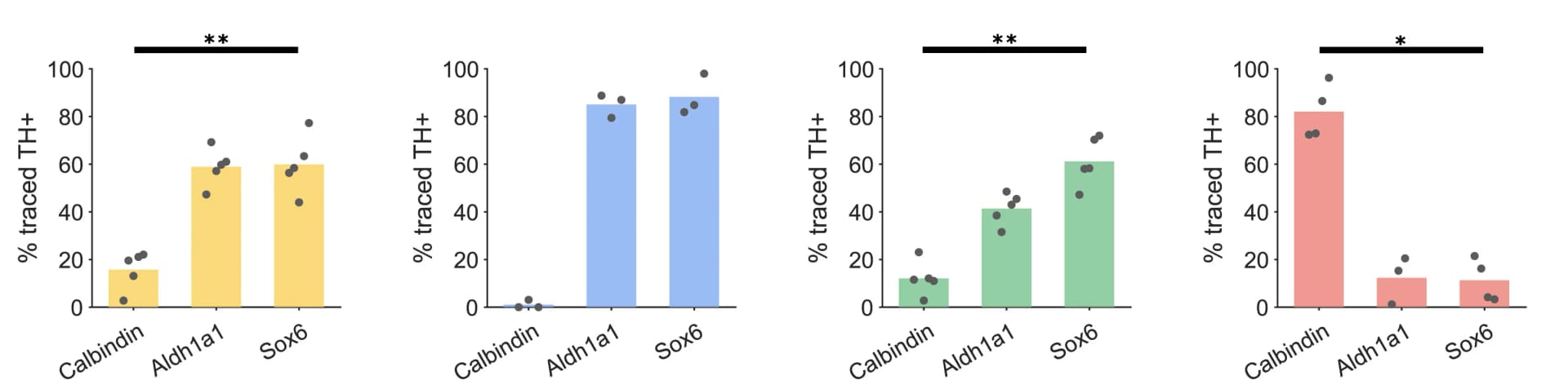Open access visualization of Bar Plot, Scatter Plot, Cell Counting, CTB-Positive Dopaminergic Neurons, Calbindin