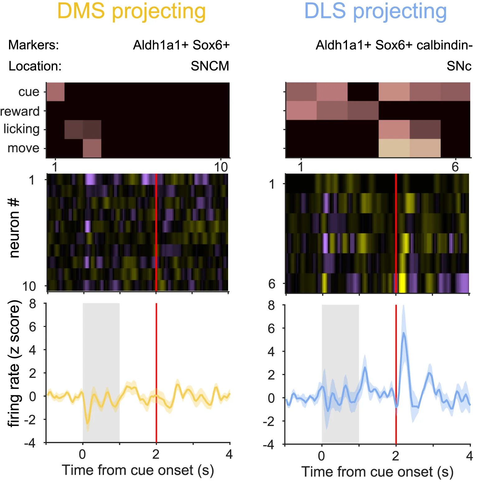 Open access visualization of Heatmap, Line Plot, Error Bars, PSTH, Neurons