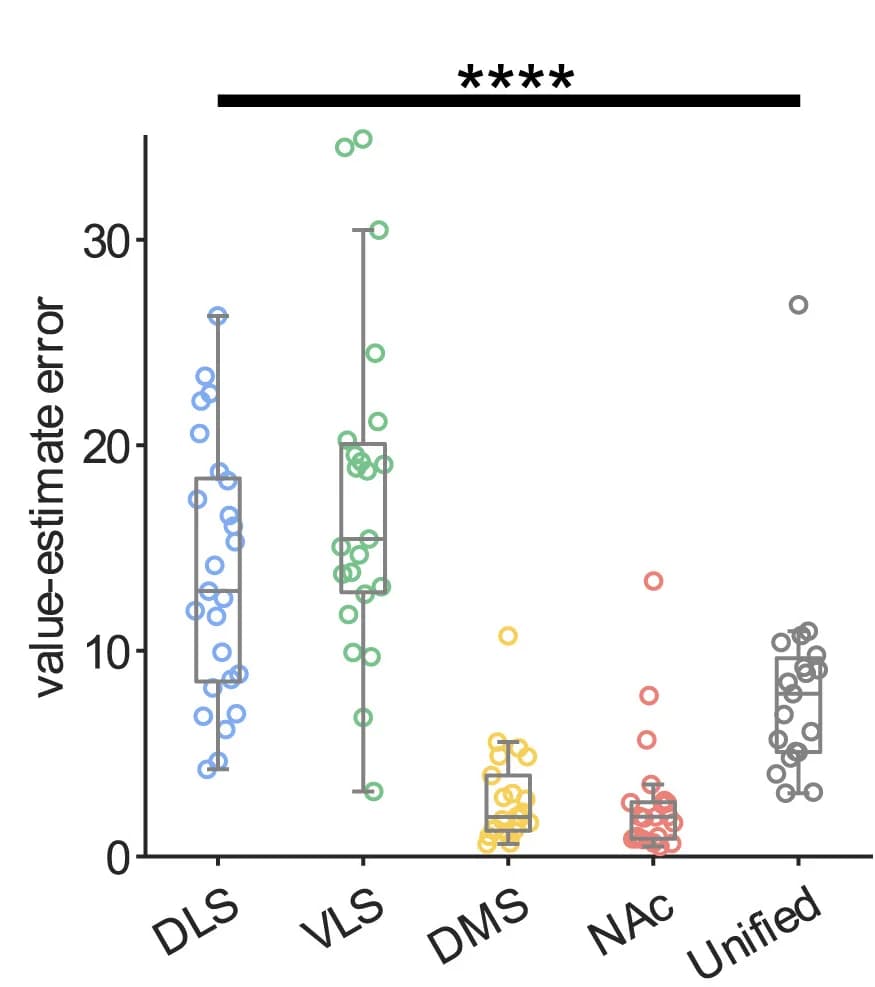 Open access visualization of Box Plot, Scatter Plot, State Values, Mean Squared Error, DLS