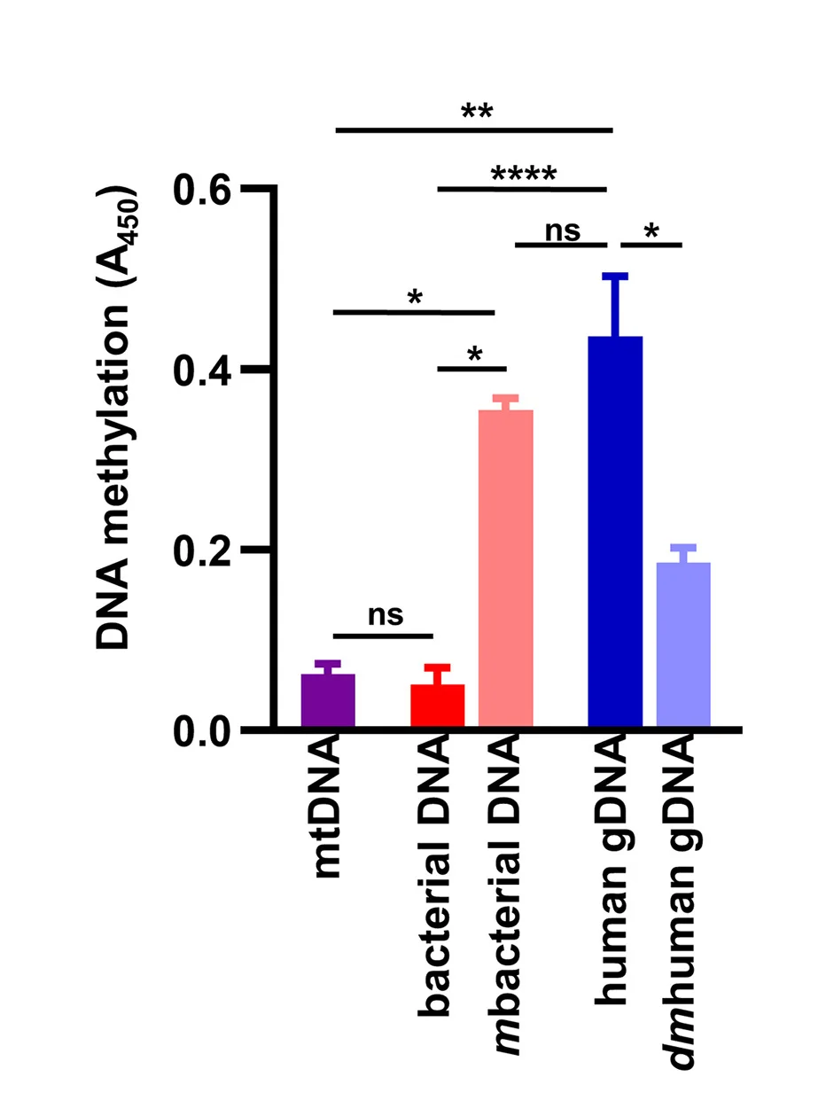 Open access visualization of Bar Plot, Error Bars, 5-methylcytosine, mtDNA, Bacterial DNA