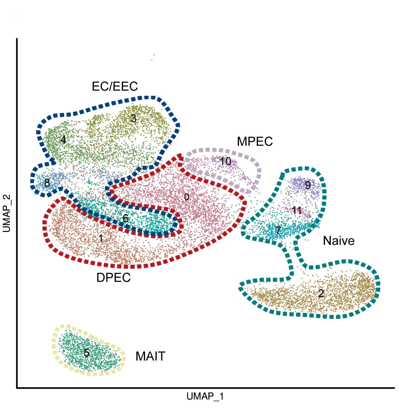 Open access visualization of UMAP, Scatter Plot, scRNA-seq, CD8+ T Cells, Cell Clusters