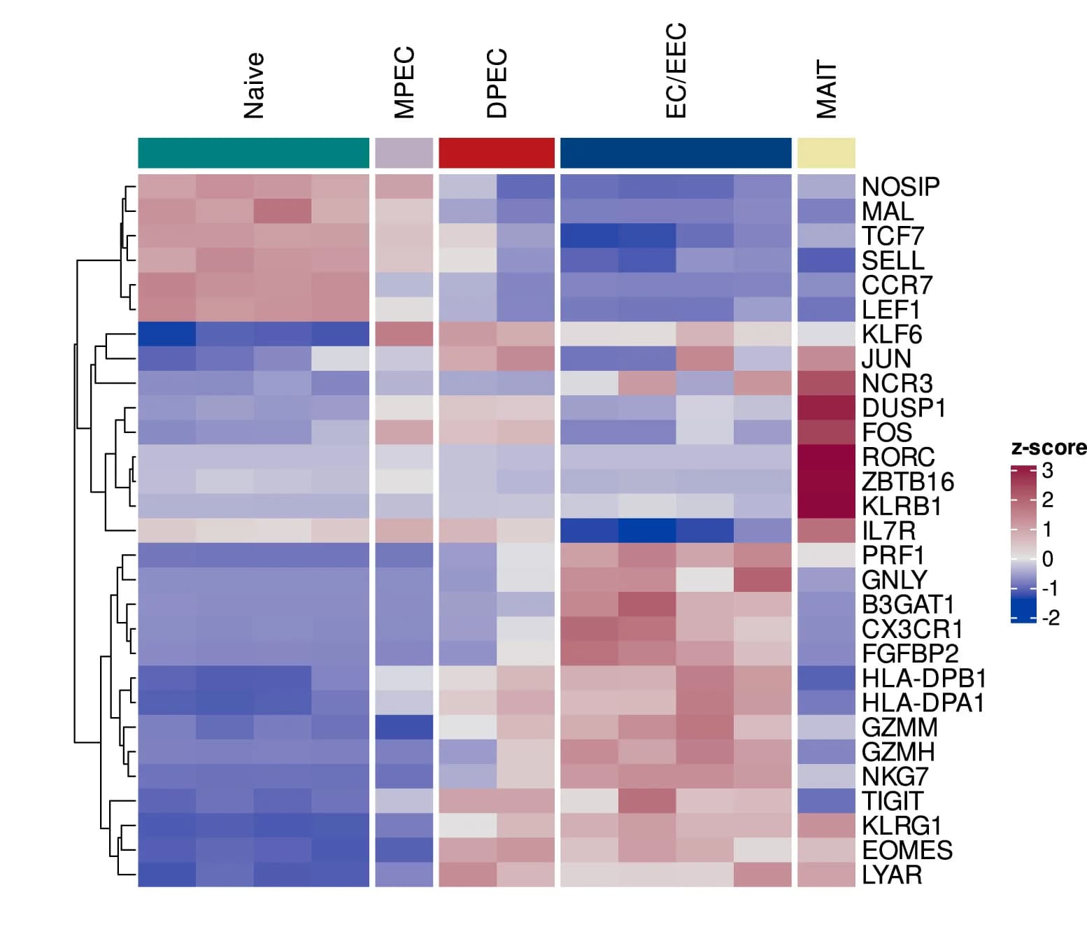 Open access visualization of Heatmap, Clustered, Cluster Heatmap, Differentially Expressed Genes, Gene Signatures