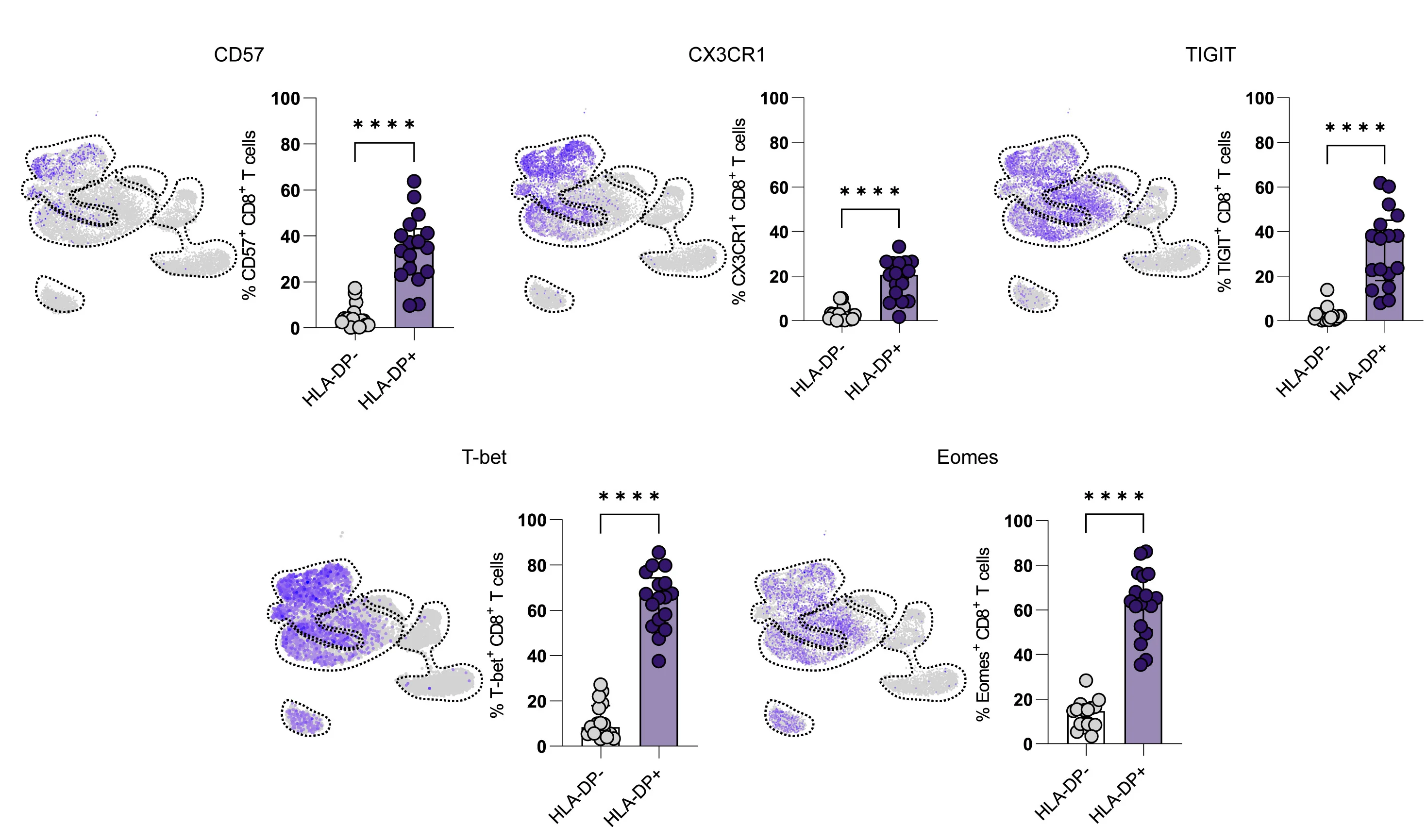 Open access visualization of Bar Plot, Scatter Plot, UMAP, Flow Cytometry, CD57