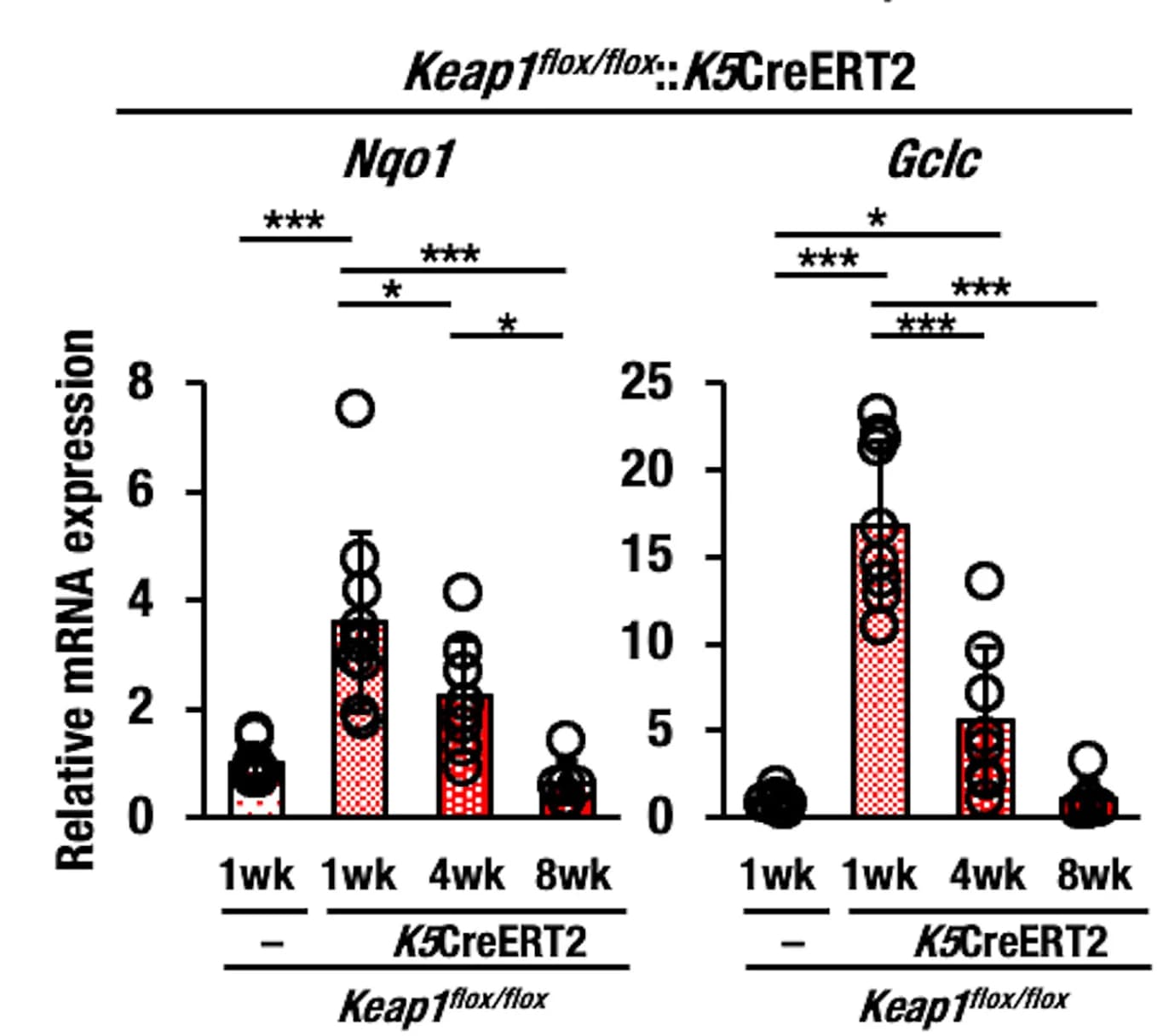Open access visualization of Bar Plot, Error Bars, Transcript Level, Nqo1 Gene, Gclc Gene