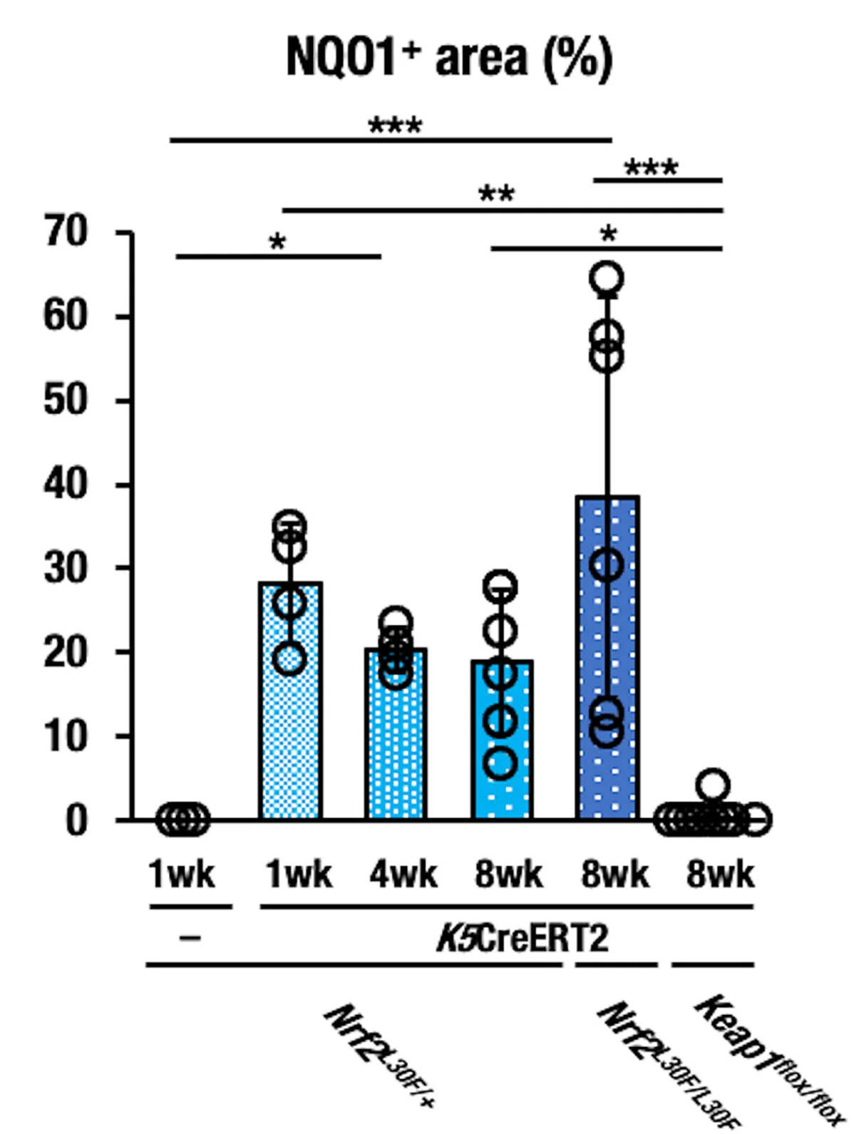 Open access visualization of Bar Plot, Error Bars, NQO1-Positive Area, Esophagus, Nrf2L30F/+ Mice