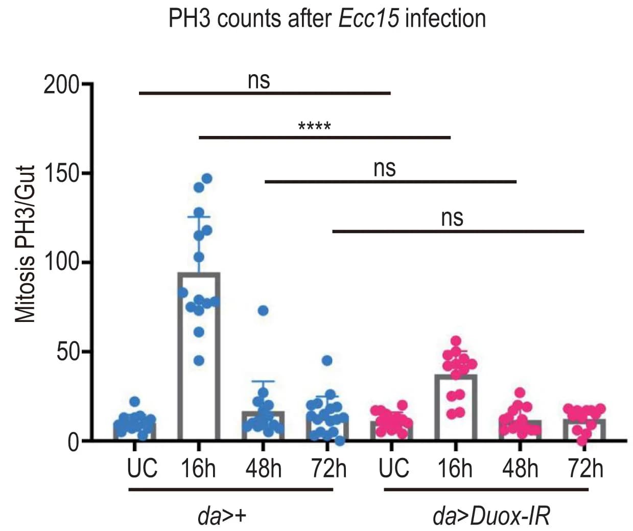 Open access visualization of Bar Plot, Error Bars, Scatter Plot, PH3-Positive Cells, Gut