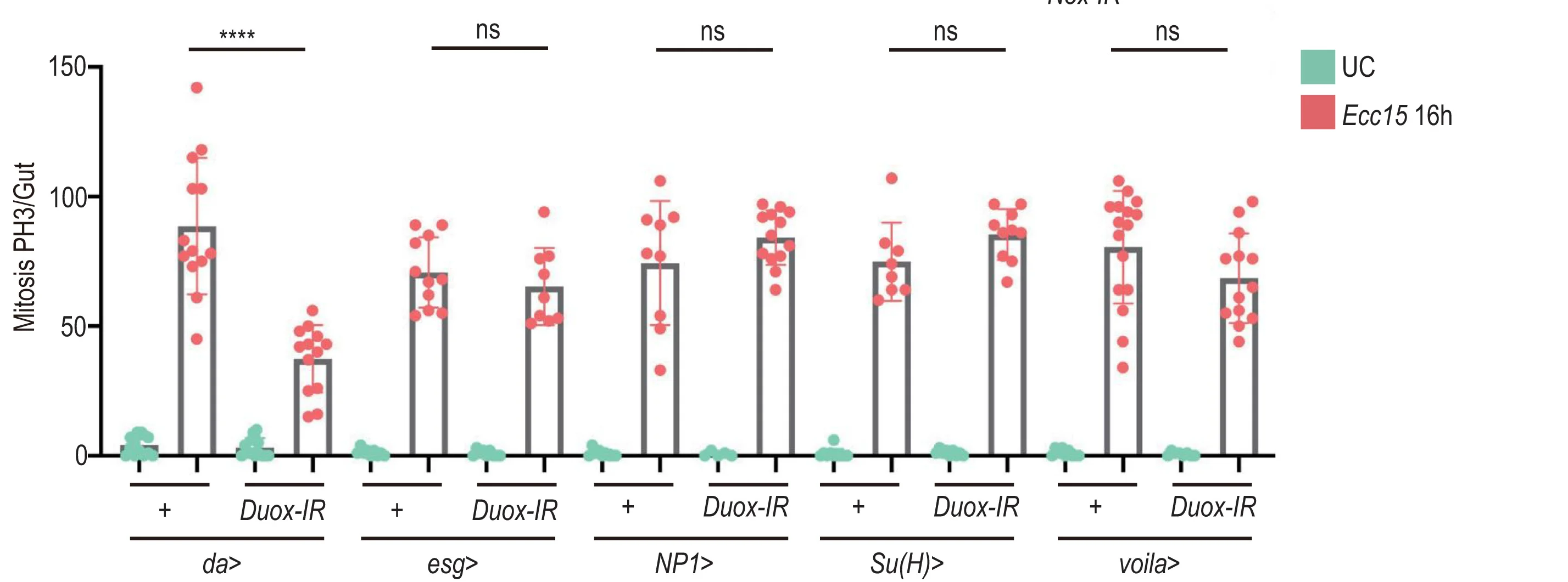 Open access visualization of Bar Plot, Error Bars, Scatter Plot, PH3-Positive Cells, Gut
