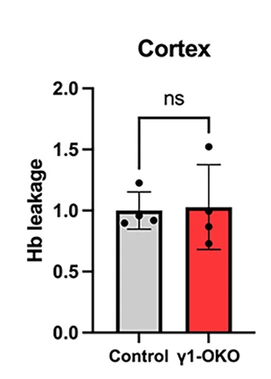 Open access visualization of Bar Plot, Error Bars, Hemoglobin Levels, Cortex, Striatum