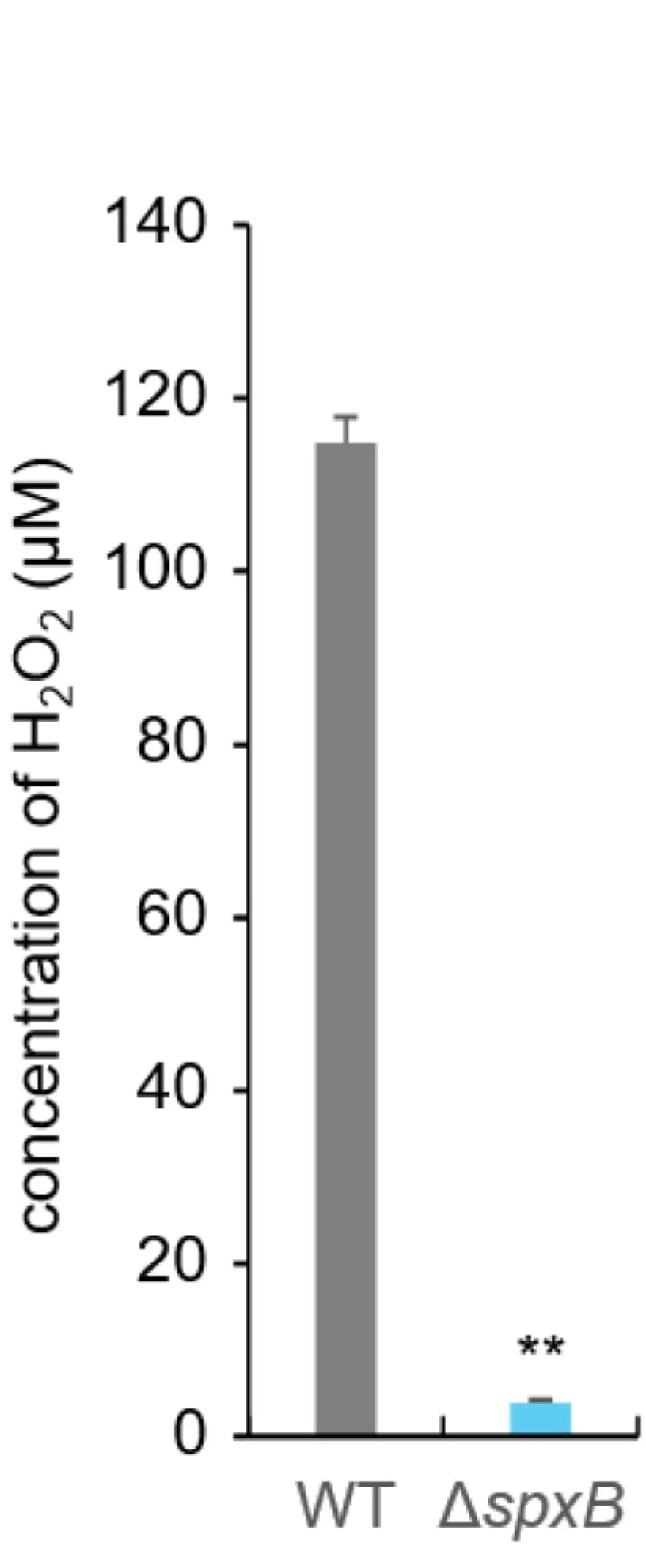 Open access visualization of Bar Plot, Error Bars, H2O2 Concentration, Culture Supernatants, SpWT