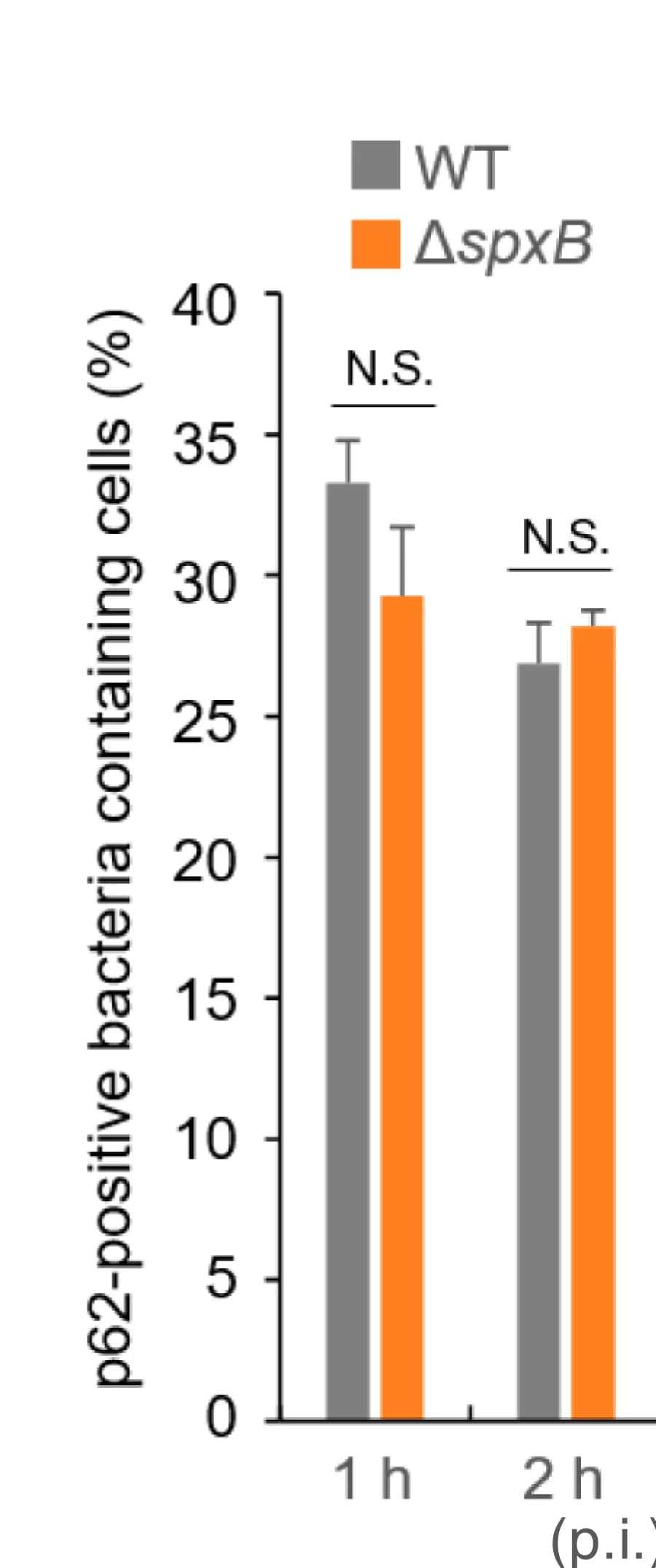Open access visualization of Bar Plot, Error Bars, Clustered, MEFs, mCherry-LC3B