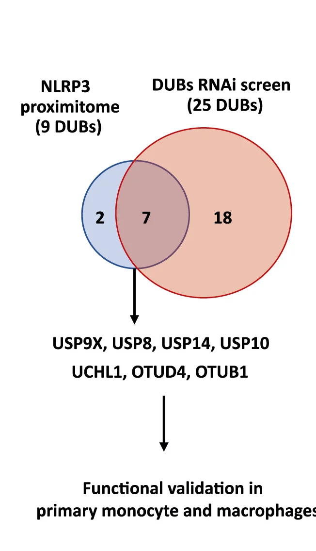 Open access visualization of Venn Diagram, Venn Diagrams, APEX2-PL, siRNA Screen