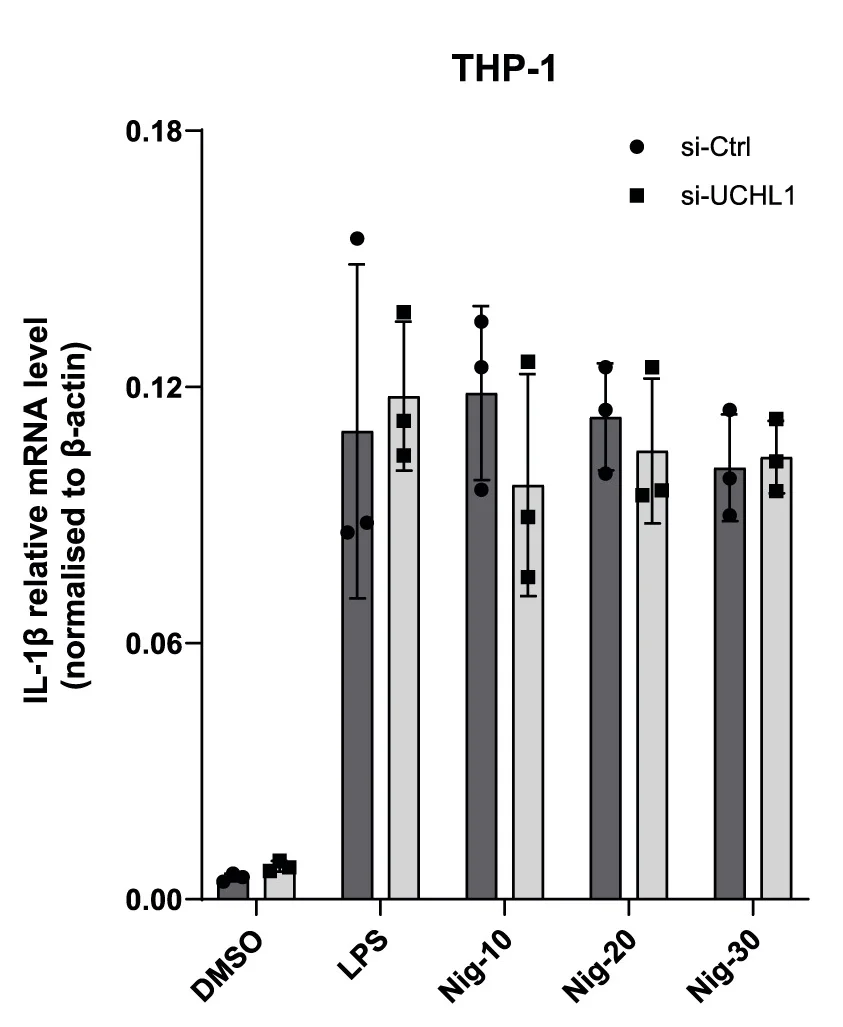 Open access visualization of Bar Plot, Error Bars, Clustered, Immunoblot, RT-qPCR