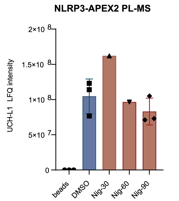 Open access visualization of Bar Plot, Error Bars, LFQ Intensity, UCH-L1 Protein, APEX2 PL