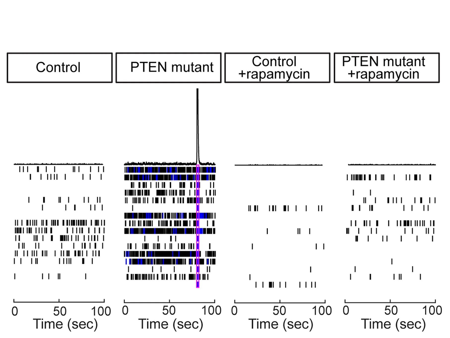 Open access visualization of Line Plot, Multi-Electrode Array Analysis, Rapamycin, Electric Hyperactivity, Hypersynchronization