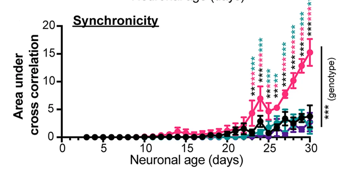 Open access visualization of Line Plot, Error Bars, Multi-Electrode Array Analysis, PTEN+RPTOR Double-Mutant, PTEN+RICTOR Double-Mutant