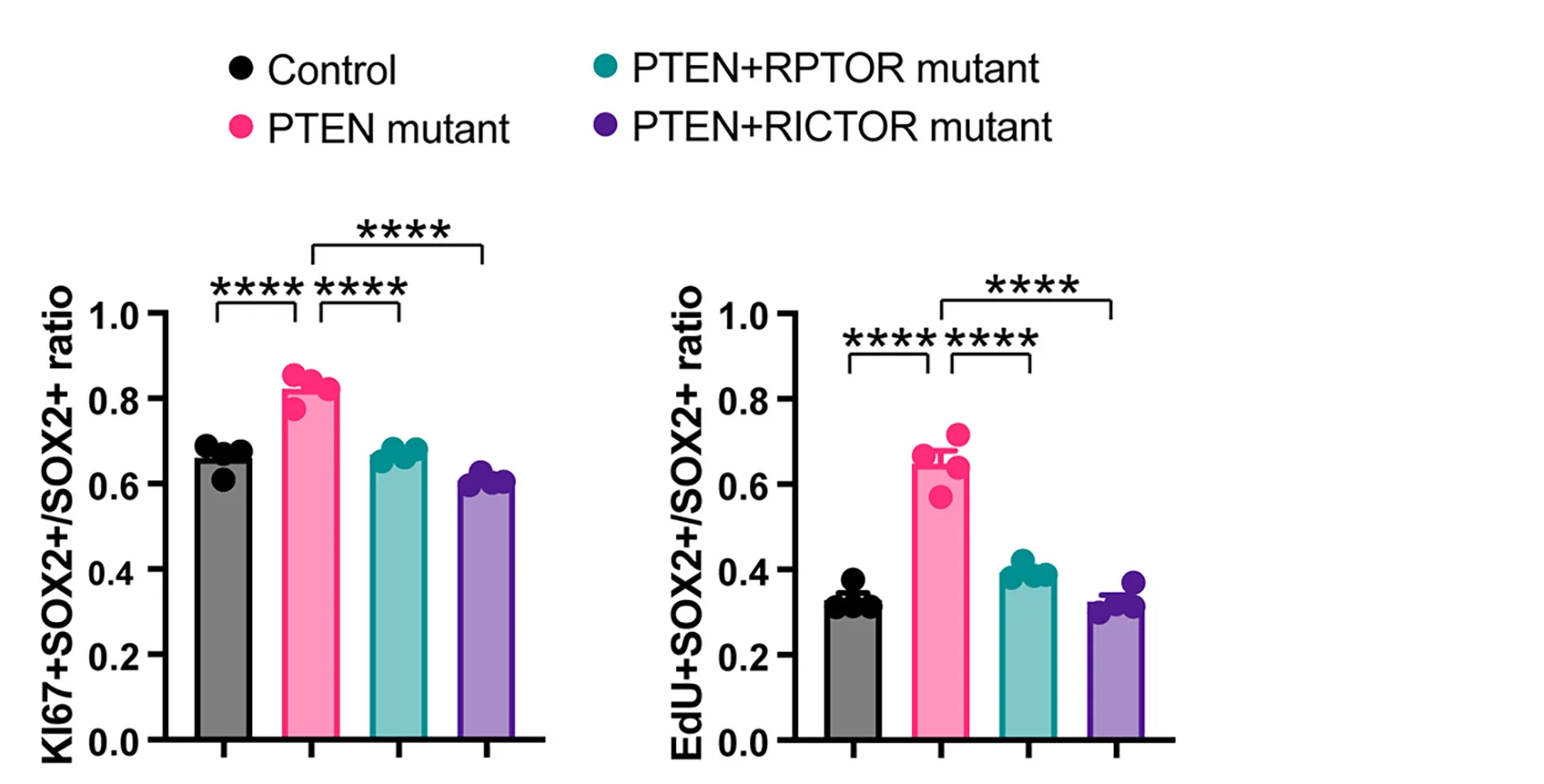 Open access visualization of Bar Plot, Scatter Plot, PTEN, RPTOR, RICTOR