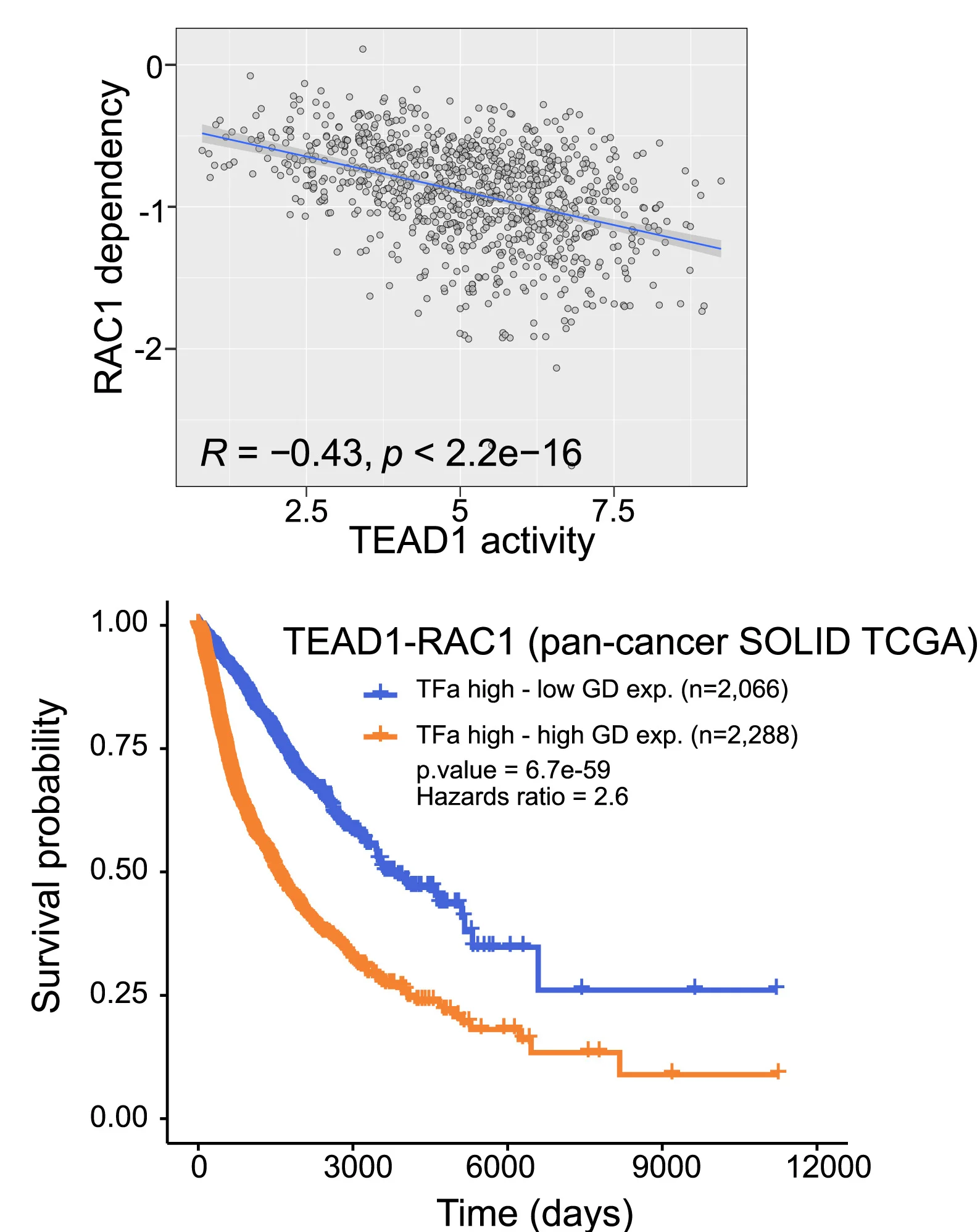 Open access visualization of Scatter Plot, Regression Plot, Survival Curve, TEAD1-RAC1, Transcription Factor Activities
