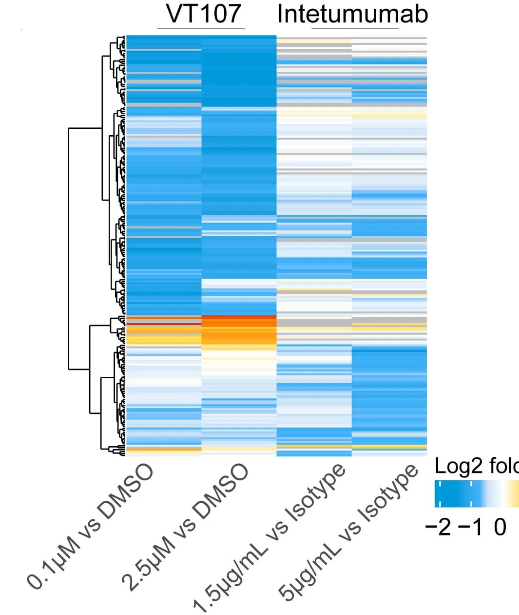 Open access visualization of Heatmap, Clustered, Log2 Fold-Changes, Transcripts, T>C Conversions