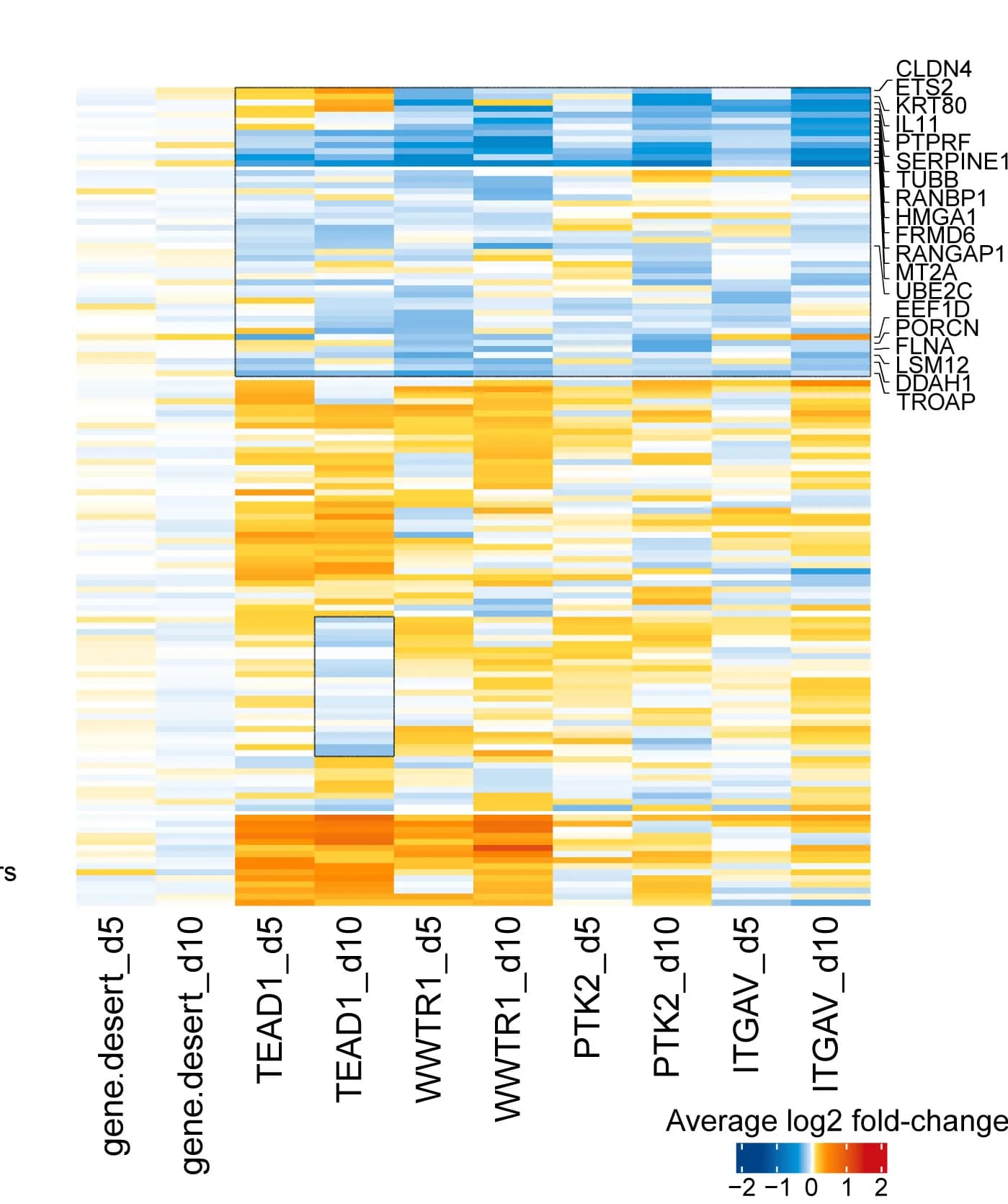Open access visualization of Heatmap, Log2 Fold-Changes, Genes, VT107 Treatment, SLAM-seq Experiment