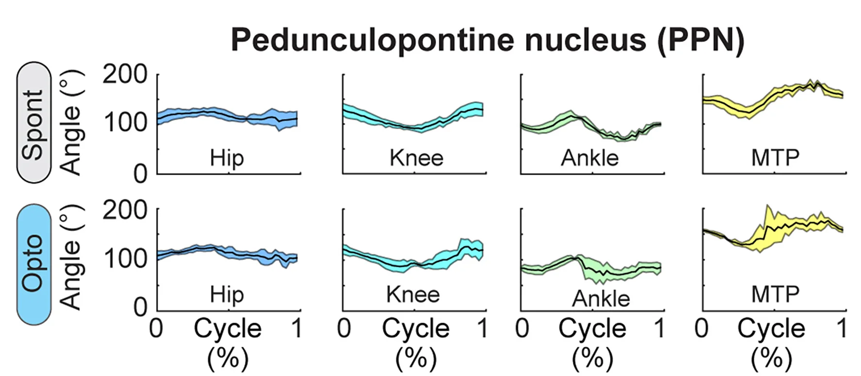 Open access visualization of Line Plot, Error Bars, Joint Angles, Locomotor Cycle, Spontaneous Locomotion