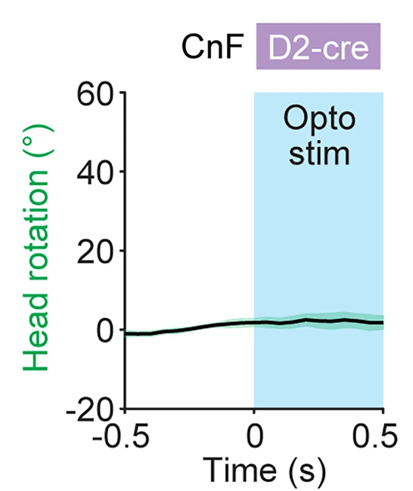 Open access visualization of Line Plot, Error Bars, Head Rotation Angle, Photoactivation