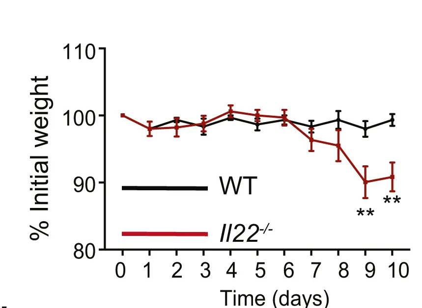 Open access visualization of Line Plot, Error Bars, Weight Loss, DSS, Il22-/- Mice