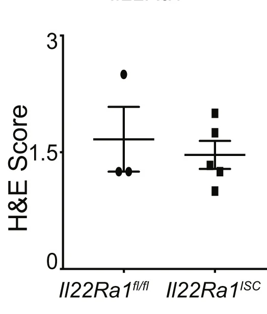 Open access visualization of Scatter Plot, Error Bars, H&E Scoring, Distal Colon Tissue, DSS Treatment
