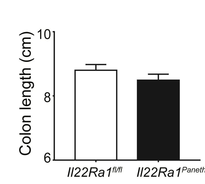 Open access visualization of Bar Plot, Error Bars, Clustered, RT-PCR, Inflammatory Cytokine Genes