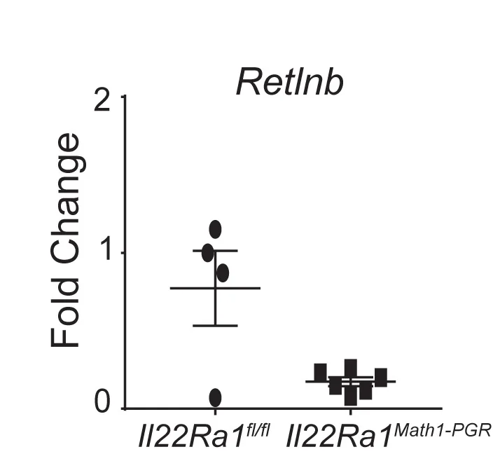 Open access visualization of Scatter Plot, Error Bars, Goblet Cells, IL-22, Retlnb