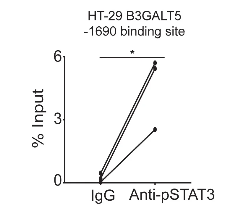 Open access visualization of Line Plot, Scatter Plot, Chromatin Immunoprecipitation Assay, Human rIL-22, HT-29 Cells