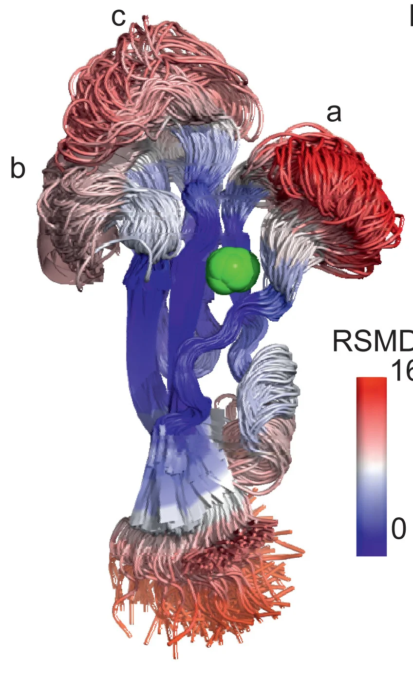 Open access visualization of 3D Plot, Protein Structure, NMR Structure, Molecular Dynamics, Loops