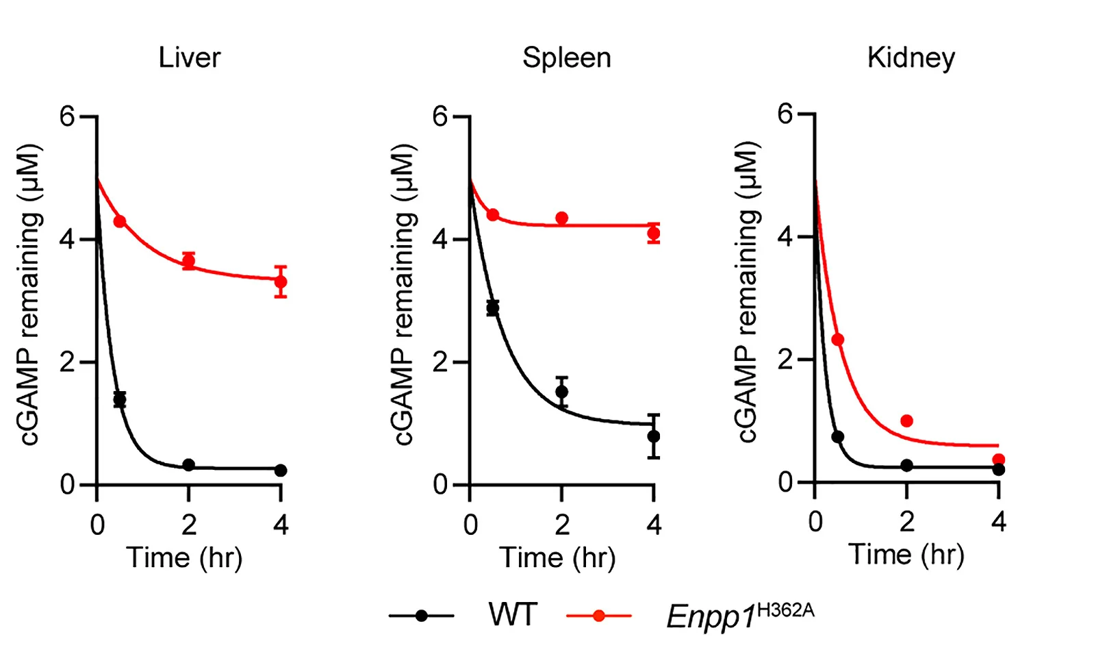 Open access visualization of Line Plot, Error Bars, cGAMP, Degradation, Thin-Layer Chromatography
