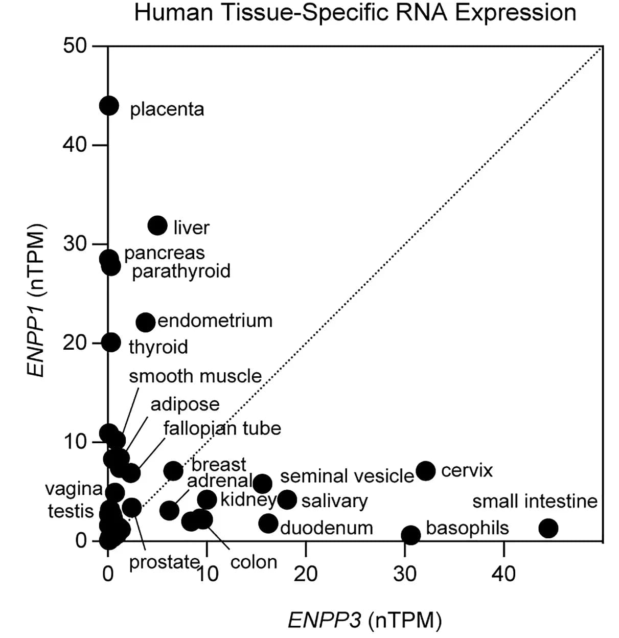 Open access visualization of Scatter Plot, Regression Plot, ENPP1, ENPP3, Human Tissue