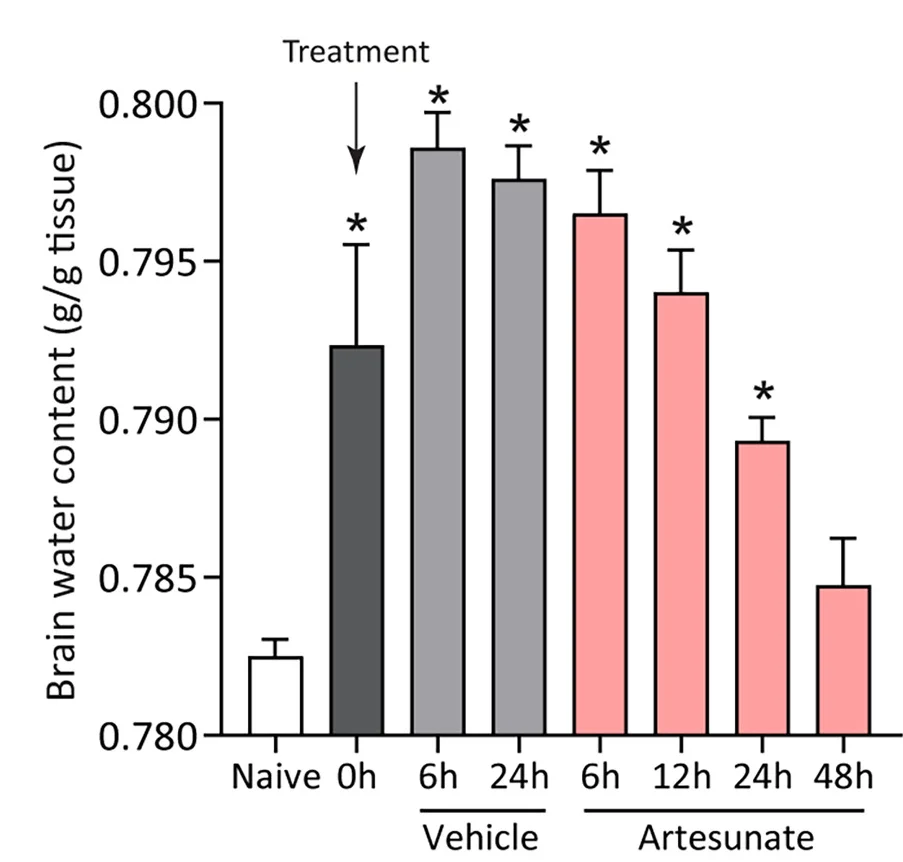 Open access visualization of Bar Plot, Error Bars, Time Course, Brain Water Content, Mice
