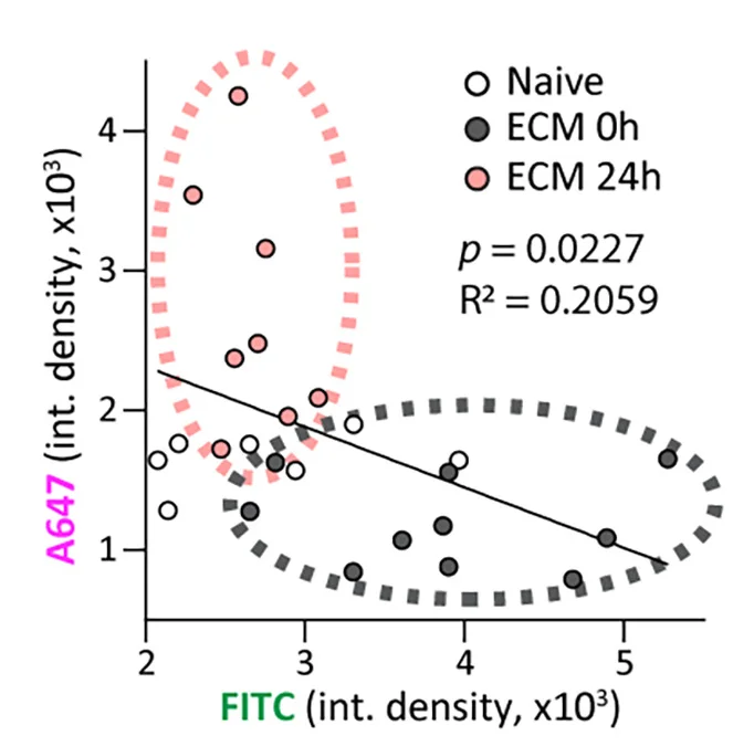 Open access visualization of Scatter Plot, Regression Plot, Inverse Association, CSF Perfusion, Vascular Leakage