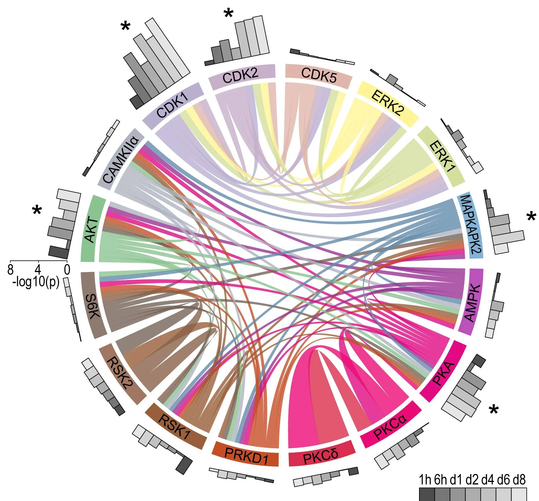 Open access visualization of Chord, Bar Plot, Bar, Kinase Networks, Kinase-Substrate Relationships
